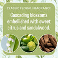 Load image into Gallery viewer, A promotional image shows Fresh Scents' Lily of the Valley - Sachet 3pk, with text: “Classic floral fragrance—Cascading blossoms, sweet citrus, and sandalwood,” plus images of lily of the valley, limes, sandalwood, and long-lasting scented sachets.
