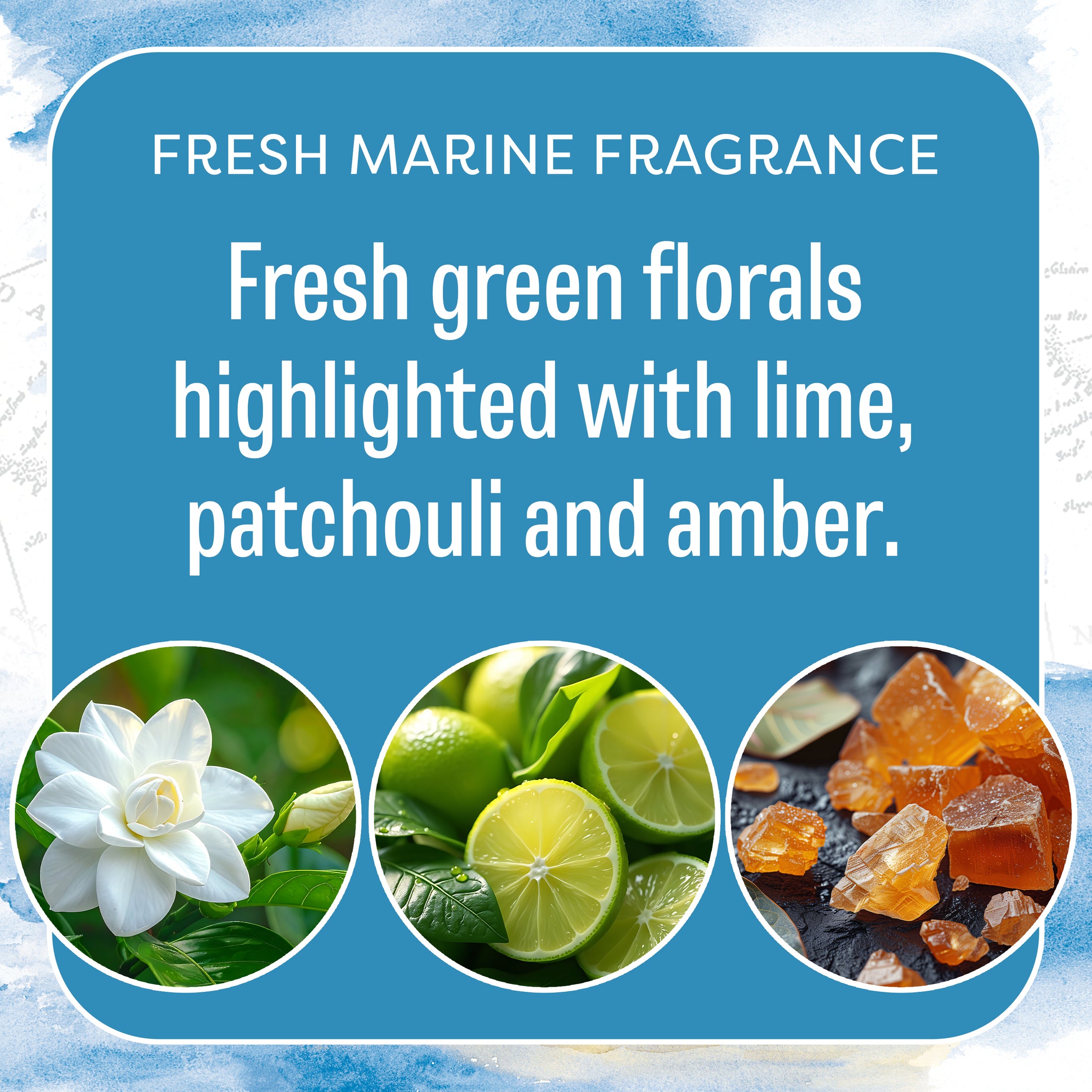 Blue graphic with white text: Fresh Scents Watermark Sachet 3pk—flameless fragrance in a fresh marine scent with green florals, lime, patchouli, and amber. Images show a white flower, sliced limes, and amber resin.