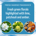Load image into Gallery viewer, Blue graphic with white text: Fresh Scents Watermark Sachet 3pk—flameless fragrance in a fresh marine scent with green florals, lime, patchouli, and amber. Images show a white flower, sliced limes, and amber resin.
