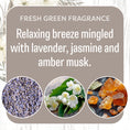 Load image into Gallery viewer, A graphic featuring Fresh Scents’ Blessed Wreath 3pk flameless fragrance—relaxing green notes with lavender, jasmine, and amber musk. Below are photos of dried lavender, jasmine flowers, and amber resin pieces.
