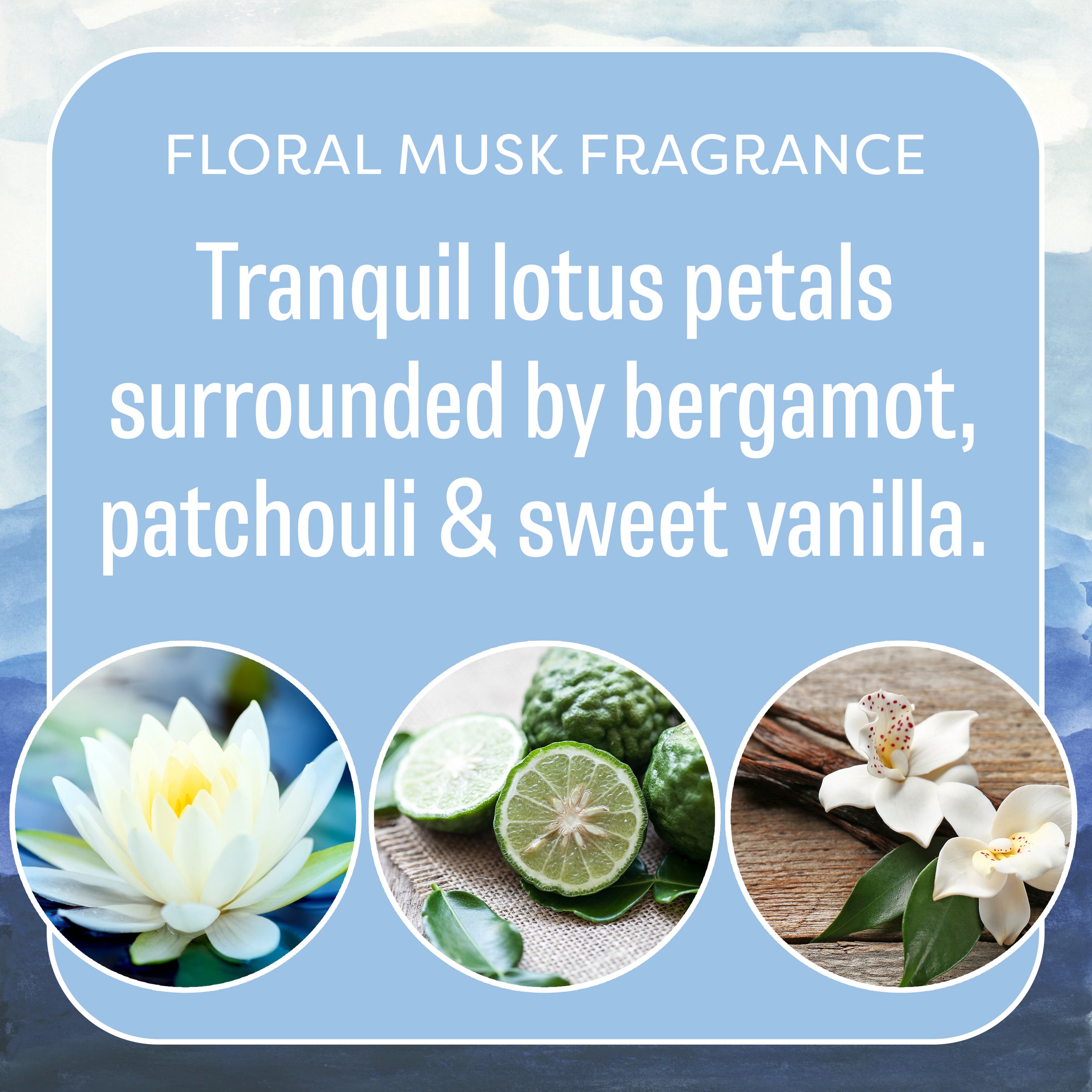A graphic with text describes Fresh Scents Adventure Mountain - Sachet 3pk, featuring lotus petals, bergamot, patchouli, and vanilla for a tranquil floral musk fragrance with long-lasting freshness. Images show lotus flower, sliced bergamot, patchouli leaves, and vanilla flower.