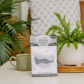Load image into Gallery viewer, A Fresh Scents "Do What You Love" Sachet 3pk, a flameless fragrance for any space, sits on a white table by a green mug and potted fern. Behind it are a wicker tray, leafy plant, and patterned pillow.
