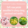 Load image into Gallery viewer, A floral-inspired graphic for Fresh Scents Baby Powder Sachet 3pk, with “Powdery Floral Fragrance. Soft rose petals swaddled in ylang-ylang, patchouli and vanilla.” Photos of roses, ylang-ylang & patchouli included.